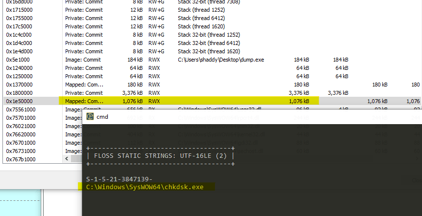 Target process name in injected buffer